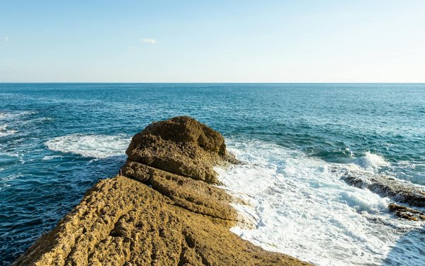 Quels sont les meilleurs spots pour la plongée avec les dauphins en Mer Rouge, Égypte : équipements et périodes ?