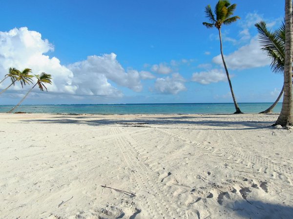 Quels sont les secrets pour une randonnée dans la jungle amazonienne?